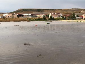 La villa de Cuéllar emprende las tareas de limpieza tras la gran tormenta 2 photo5866392317055839809