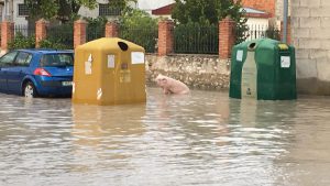 La villa de Cuéllar emprende las tareas de limpieza tras la gran tormenta 7 photo5866392317055839814