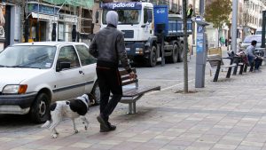 El nuevo pliego del contrato de las basuras garantiza todos los empleos 2 4_2nerea-perro