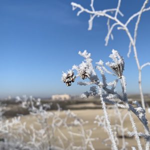El frío no da tregua en Cuéllar 2 img 0997