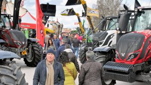 El calendario oficial de ferias solo recoge diez eventos en la provincia 3 14 1kama fuentepelayo feria angel kam2820