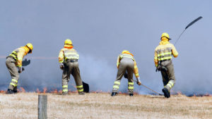 La Junta facturó más de 268.000 euros por incendios negligentes de 2017 4 05 1ner trescasas incendio forestal