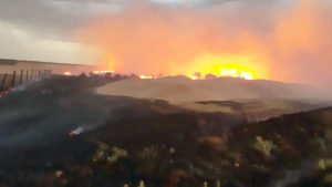 La Junta facturó más de 268.000 euros por incendios negligentes de 2017 3 05 4 cedillo de la torre incendio