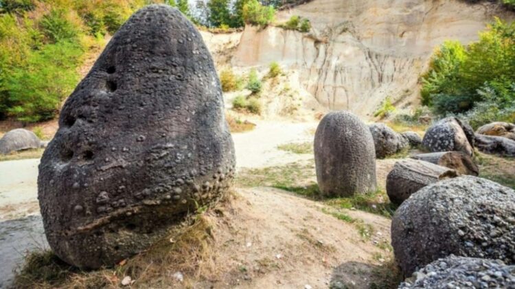 “Piedras vivas”: qué son y cuál es el misterio que esconden