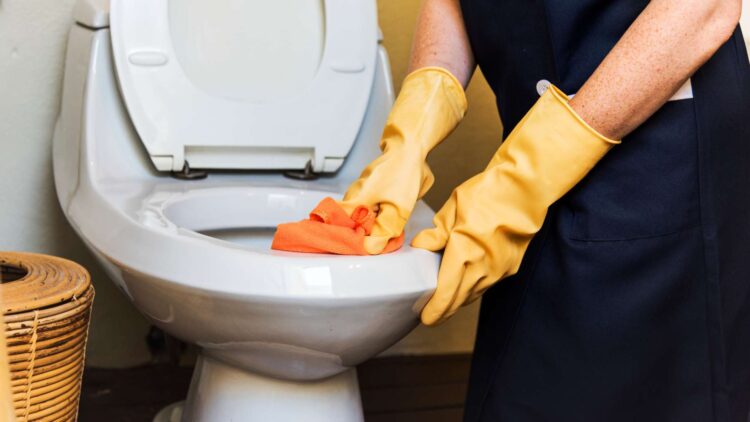 Elimina todas las bacterias del váter con estos productos que tienes en tu cocina 1 Elimina todas las bacterias del váter con estos productos que tienes en tu cocina