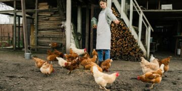 Evita multas: esta es la sanción que tendrás que pagar si no legalizas tu corral d autoconsumo