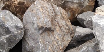 El misterio de las piedras vivas continúa: qué son y dónde puedes encontrarlas