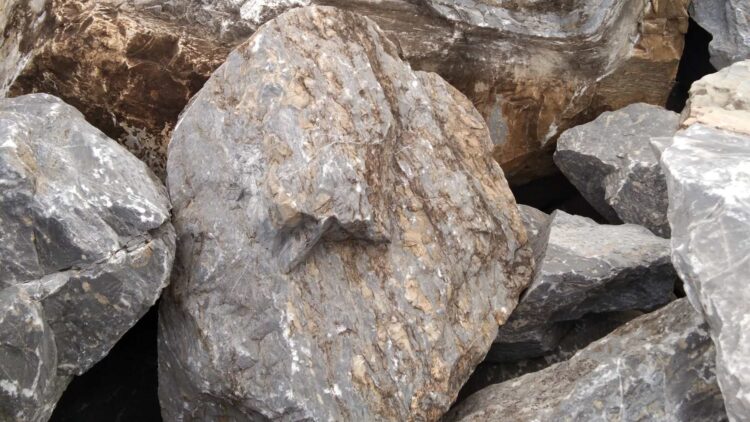 El misterio de las piedras vivas continúa: qué son y dónde puedes encontrarlas