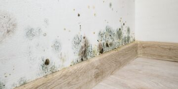 Adiós a la humedad en la pared: así puedes eliminarla de forma sencilla