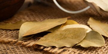 Todos los beneficios del laurel: podrás combatir estas enfermedades