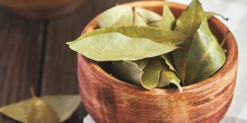 Poner laurel bajo la almohada: suena raro, pero tiene estos beneficios.