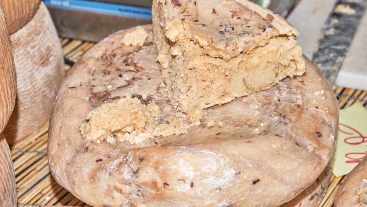 Este es el “queso más peligroso del mundo”: es ilegal desde 1962 1 Este es el “queso más peligroso del mundo”: es ilegal desde 1962