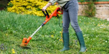 Cómo mantener tu jardín impecable durante todo el año: secretos de expertos para cada estación