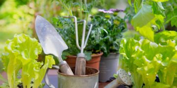 El huerto en casa: estas son las mejores opciones para plantar si no tienes mucho tiempo.