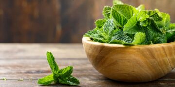El truco casero con menta que muchos desconocen y que mejora el ambiente de tu hogar