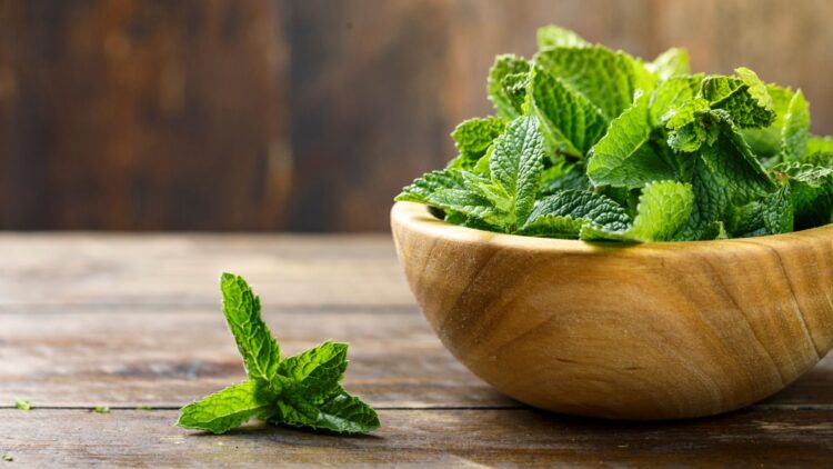 El truco casero con menta que muchos desconocen y que mejora el ambiente de tu hogar