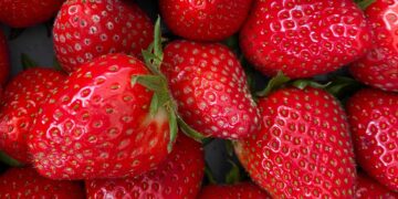 Confirmado: estos son los beneficios de tomar fresas diariamente en ayunas, según investigadores de Cambridge