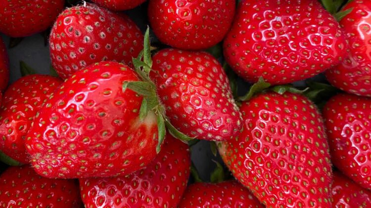 Confirmado: estos son los beneficios de tomar fresas diariamente en ayunas, según investigadores de Cambridge