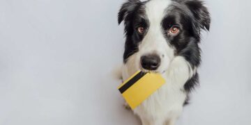 Si tienes mascota, quizás estés de suerte: Hacienda confirma a qué deducciones tienes derecho