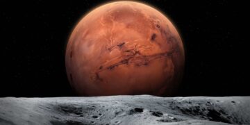 El motivo te va a sorprender: por qué estos hongos podrían ser la clave para entender la posibilidad de vida en Marte