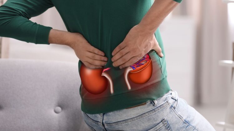 Adiós a los problemas de riñón: descubre cómo cuidar tus riñones con estos consejos fáciles y efectivos de una experta