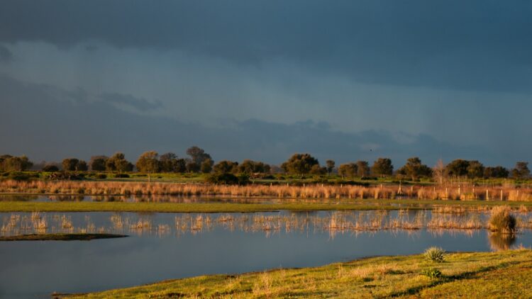 Atlántida española: investigadores afirman que la ciudad perdida podría encontrarse en este emblemático parque