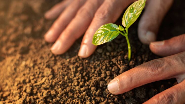Ni sequías ni incendios: el verdadero coste del cambio climático lo notarás en tu bolsillo, según un estudio 1 Cambio climático