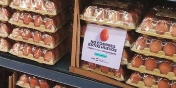 “No compres estos huevos”: los supermercados se están llenando de estos carteles y no es por una campaña publicitaria