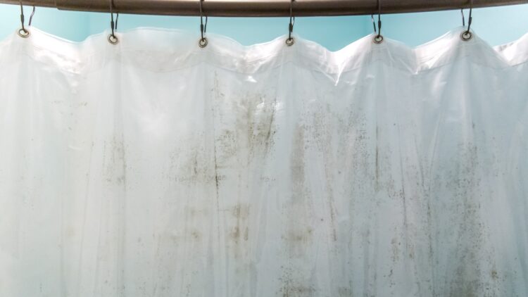 Adiós al moho en las cortinas de ducha: el truco con vinagre y bicarbonato que arrasa en España
