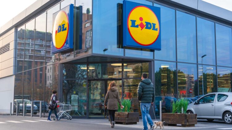 Ni cara ni difícil de cuidar: Lidl lanza una planta de interior exótica y asequible que transformará tu casa