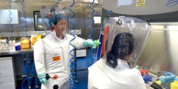 Ni Wuhan ni murciélagos: China finaliza la investigación sobre el origen del COVID-19 y estas son sus conclusiones