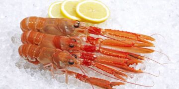 Adiós a los mariscos caros: Mercadona lanza este producto inesperado