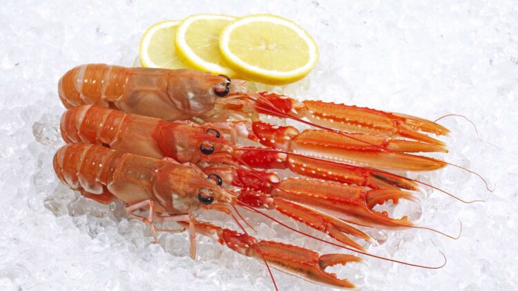 Adiós a los mariscos caros: Mercadona lanza este producto inesperado