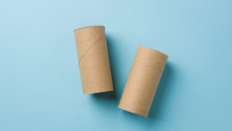 Los rollos de papel higiénico tienen mil utilidades en el hogar