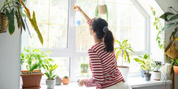 Di adiós para siempre a la suciedad de las ventanas