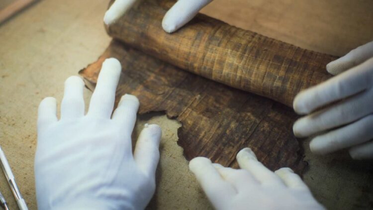 Encuentran en Egipto la tumba de un príncipe de hace 4.400 años: el hallazgo sorprende a los arqueólogos por estos motivos 1 Encuentran en Egipto la tumba de un príncipe de hace 4.400 años