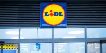 El nuevo invento de Lidl convierte cualquier jardín en un paraíso