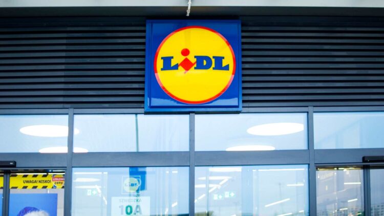 El nuevo invento de Lidl convierte cualquier jardín en un paraíso