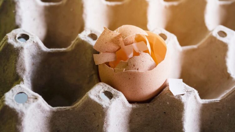 Esta es la drástica decisión de los supermercados