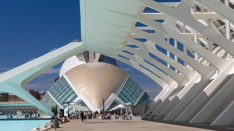 Ni playa ni Oceanogràfic: este es el nuevo atractivo que llena Valencia de visitantes todo el año 1 Este es el nuevo atractivo que llena Valencia de visitantes