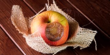 Estos alimentos pueden volverse peligrosos en verano