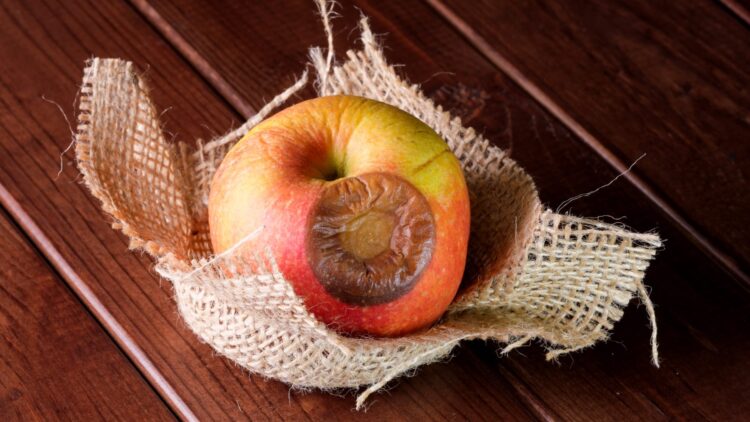 Estos alimentos pueden volverse peligrosos en verano