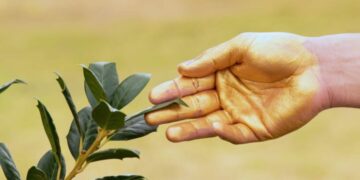 Podrían cambiar todo lo que sabíamos sobre el Rey Midas