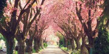 Adiós a las cuatro estaciones tradicionales