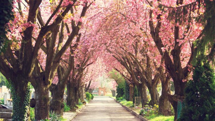 Adiós a las cuatro estaciones tradicionales