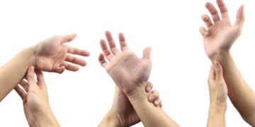 Este músculo está desapareciendo del cuerpo humano