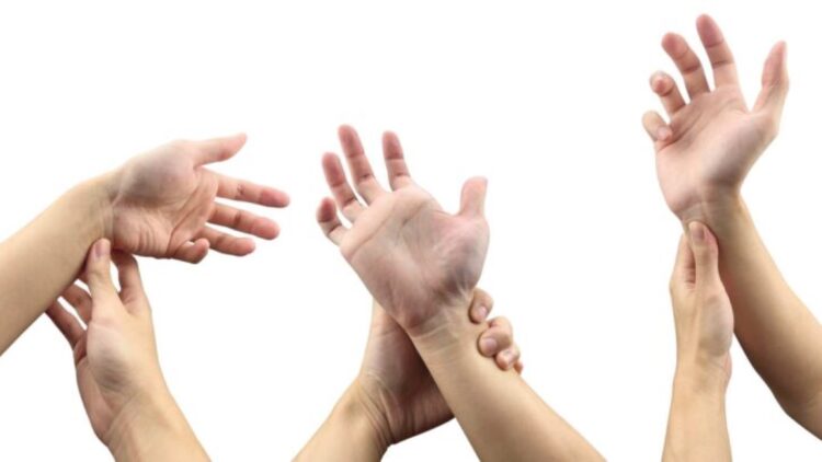 Este músculo está desapareciendo del cuerpo humano