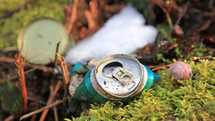 Se pasa todo el verano recogiendo latas en Islandia para reciclarlas