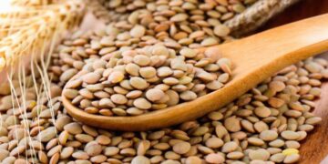 El secreto de Ferrán Adrià para que tus lentejas