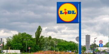 Pierde su trabajo en Lidl por unas fresas de 5,98 euros